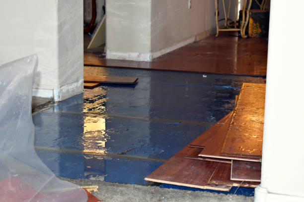 Professional Water Damage Restoration technician working in Falkland, NC